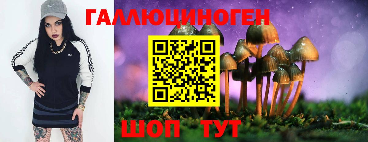 Ставрополь  Псилоцибиновые грибы ЛСД  Вход с VPN 