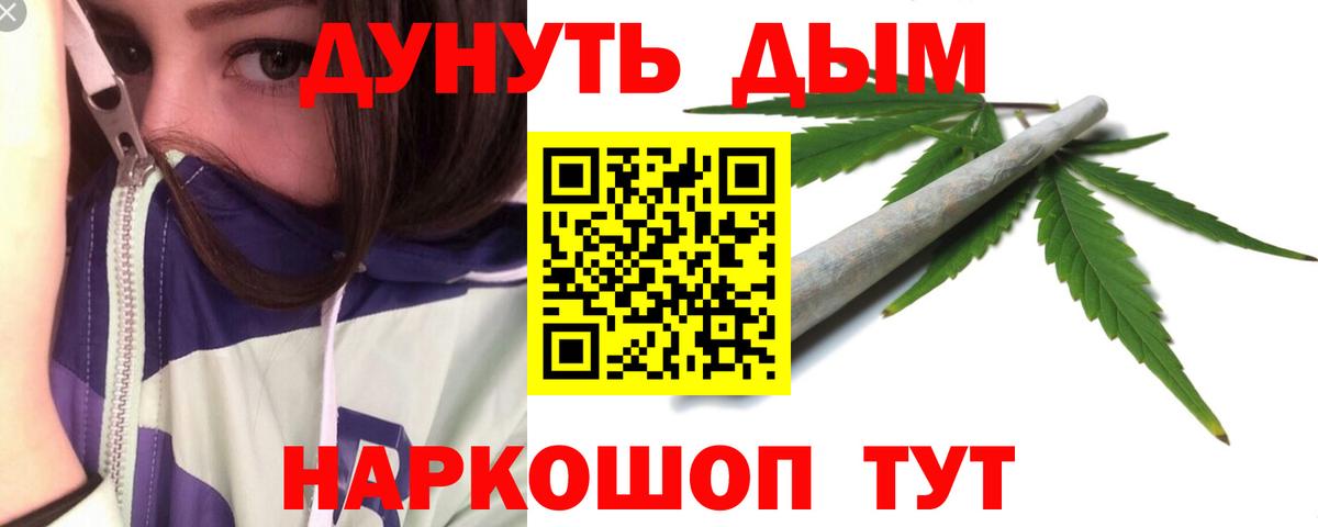 Канабис сатива Ставрополь